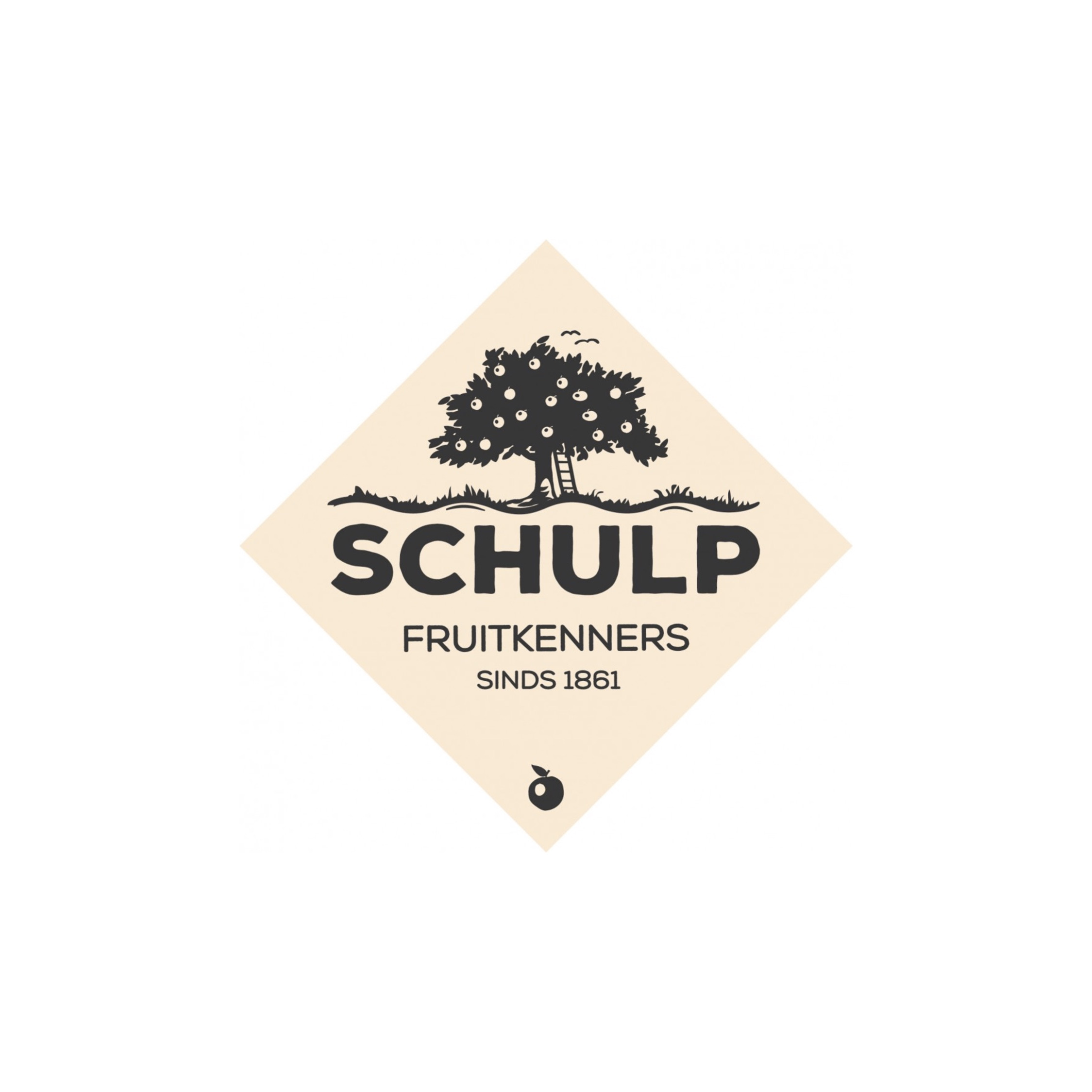 Schulp